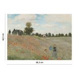 I Papaveri Monet 3