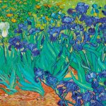 Iris Van Gogh Puzzle