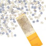 Puzzle Madrid Mappa Antica